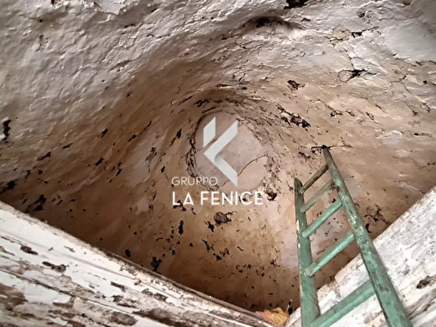 Immagine 45 di Rustico / casale in vendita  in C.DA TOMMASONE a Locorotondo