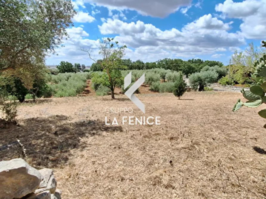 Immagine 67 di Rustico / casale in vendita  in C.DA TOMMASONE a Locorotondo