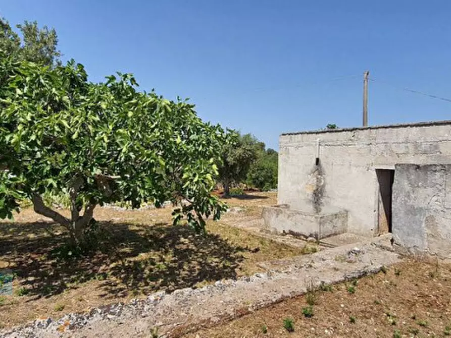 Immagine 9 di Rustico / casale in vendita  in Contrada Carbone Montagnulo a Ceglie Messapico