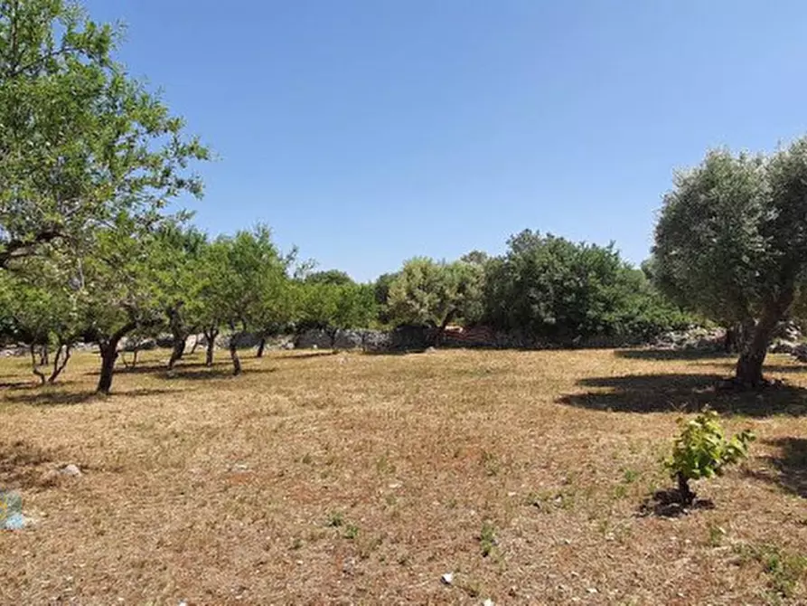 Immagine 10 di Rustico / casale in vendita  in Contrada Carbone Montagnulo a Ceglie Messapico
