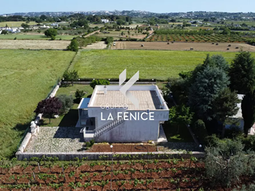 Immagine 75 di Villa in vendita  in CONTRADA RAMPONE a Martina Franca