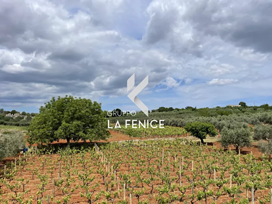 Immagine 83 di Villa in vendita  in CONTRADA RAMPONE a Martina Franca