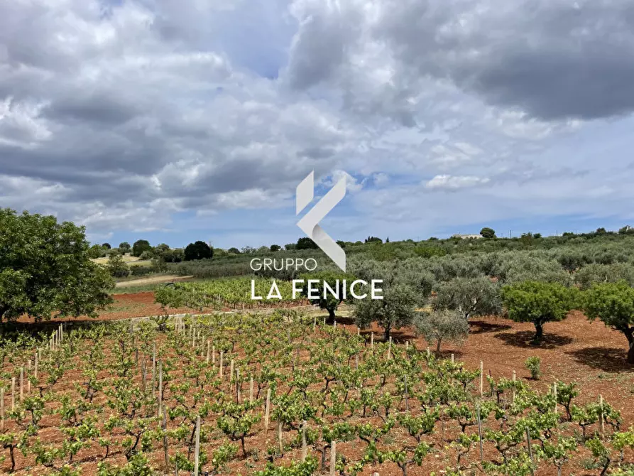 Immagine 84 di Villa in vendita  in CONTRADA RAMPONE a Martina Franca