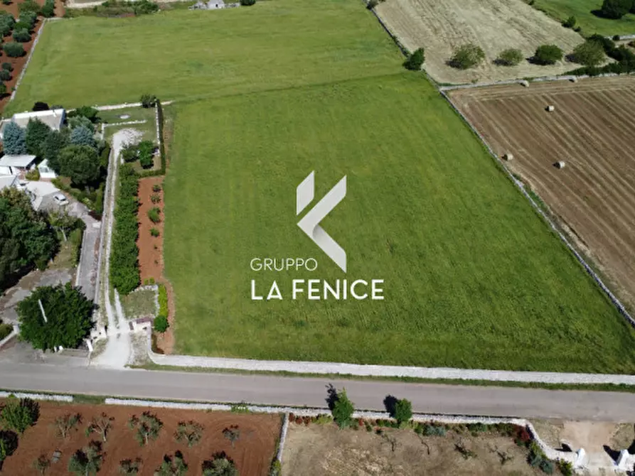 Immagine 92 di Villa in vendita  in CONTRADA RAMPONE a Martina Franca