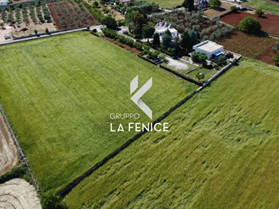 Immagine 93 di Villa in vendita  in CONTRADA RAMPONE a Martina Franca