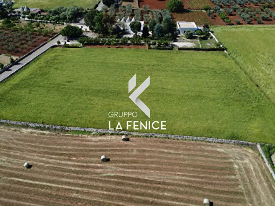 Immagine 94 di Villa in vendita  in CONTRADA RAMPONE a Martina Franca