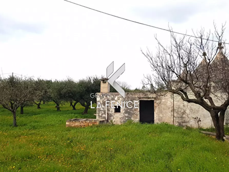 Immagine 6 di Rustico / casale in vendita  in contrada Guarini a Martina Franca