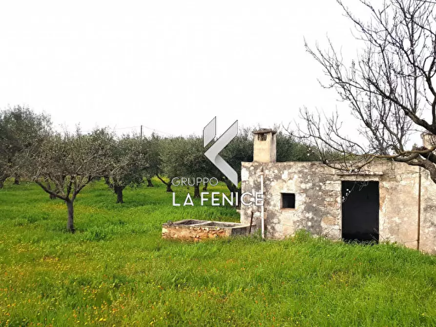 Immagine 7 di Rustico / casale in vendita  in contrada Guarini a Martina Franca