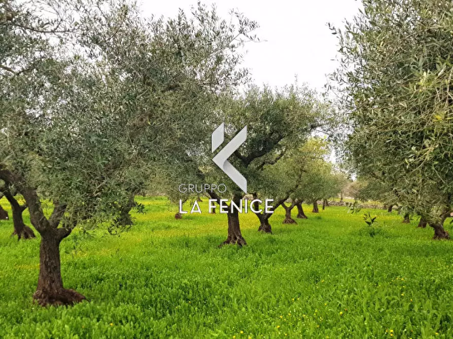 Immagine 10 di Rustico / casale in vendita  in contrada Guarini a Martina Franca