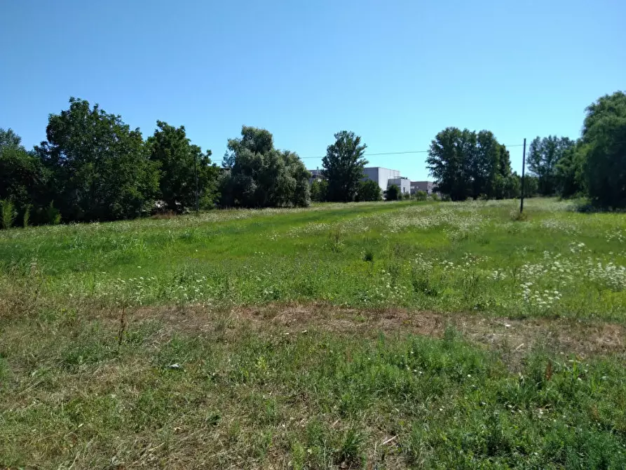 Immagine 2 di Terreno in vendita  in Via Provinciale Modena a Novi Di Modena