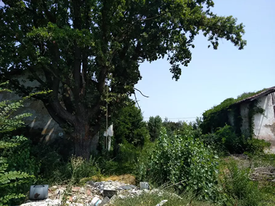 Immagine 2 di Terreno in vendita  in Via Nuova Ponente a Carpi