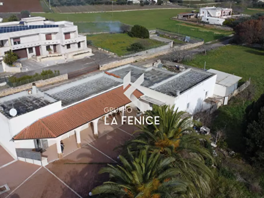 Immagine 3 di Villa in vendita  in strada Battaglini a Martina Franca