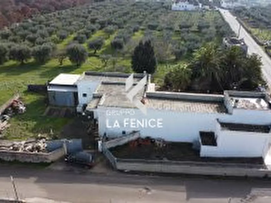 Immagine 8 di Villa in vendita  in strada Battaglini a Martina Franca