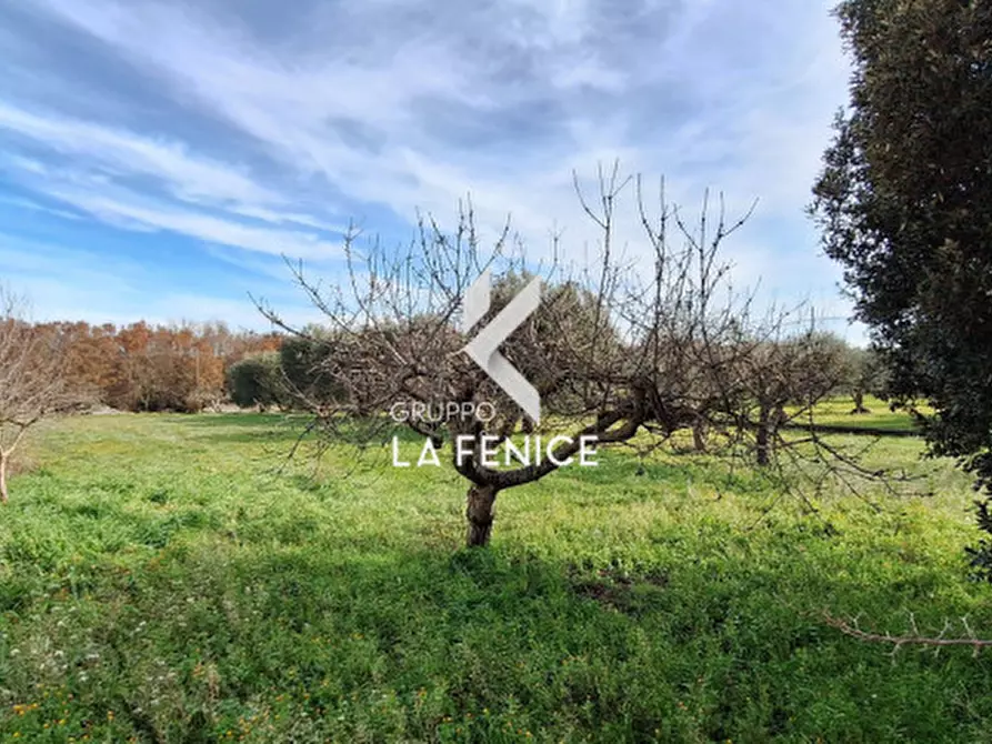 Immagine 42 di Villa in vendita  in strada Battaglini a Martina Franca