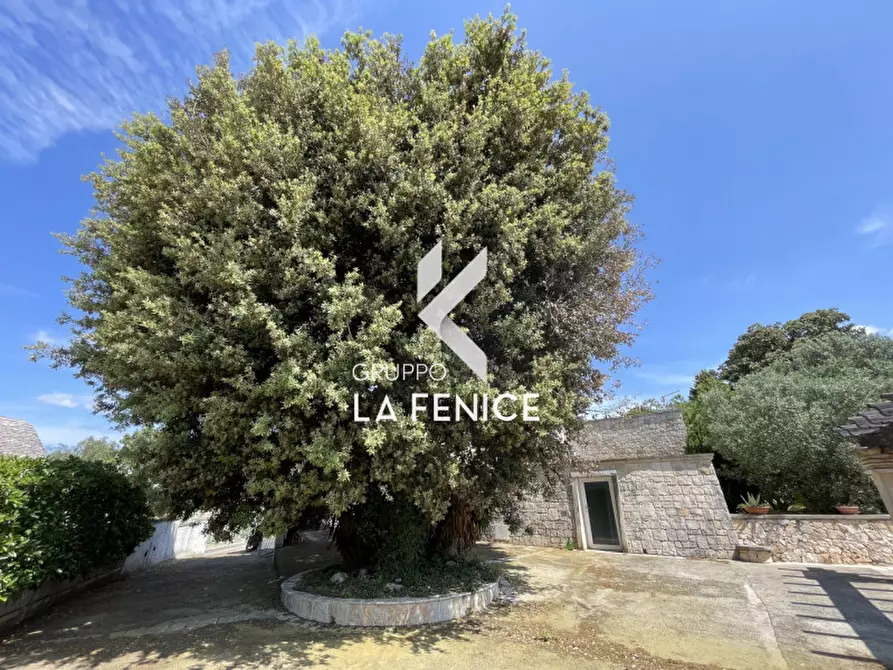 Immagine 17 di Rustico / casale in vendita  in CONTRADA NUNZIO a Locorotondo