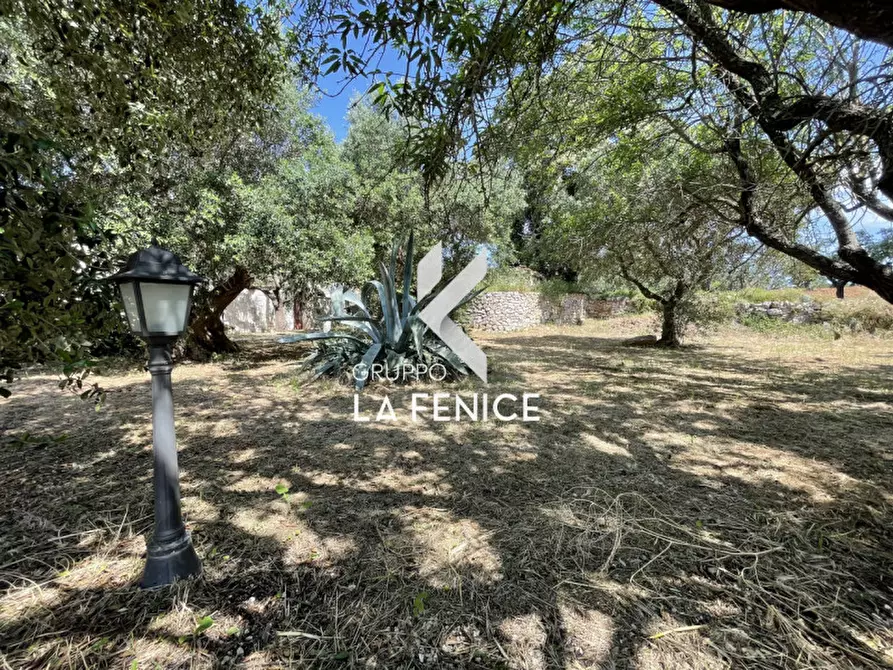 Immagine 25 di Rustico / casale in vendita  in CONTRADA NUNZIO a Locorotondo