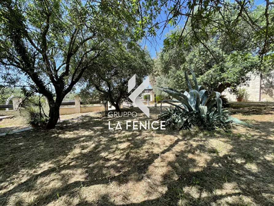 Immagine 28 di Rustico / casale in vendita  in CONTRADA NUNZIO a Locorotondo