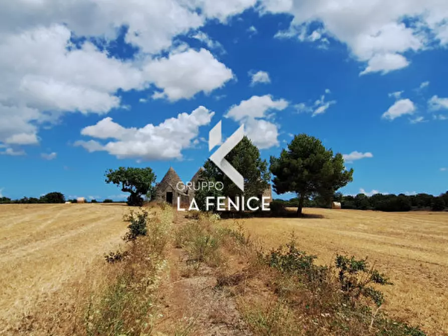 Immagine 4 di Rustico / casale in vendita  in contrada Malvischi a Alberobello