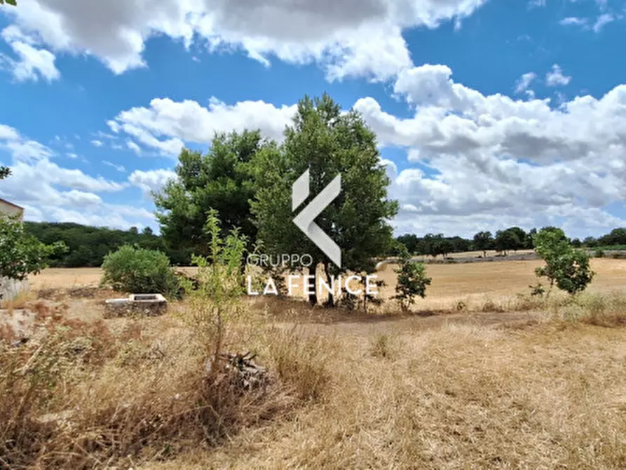 Immagine 7 di Rustico / casale in vendita  in contrada Malvischi a Alberobello