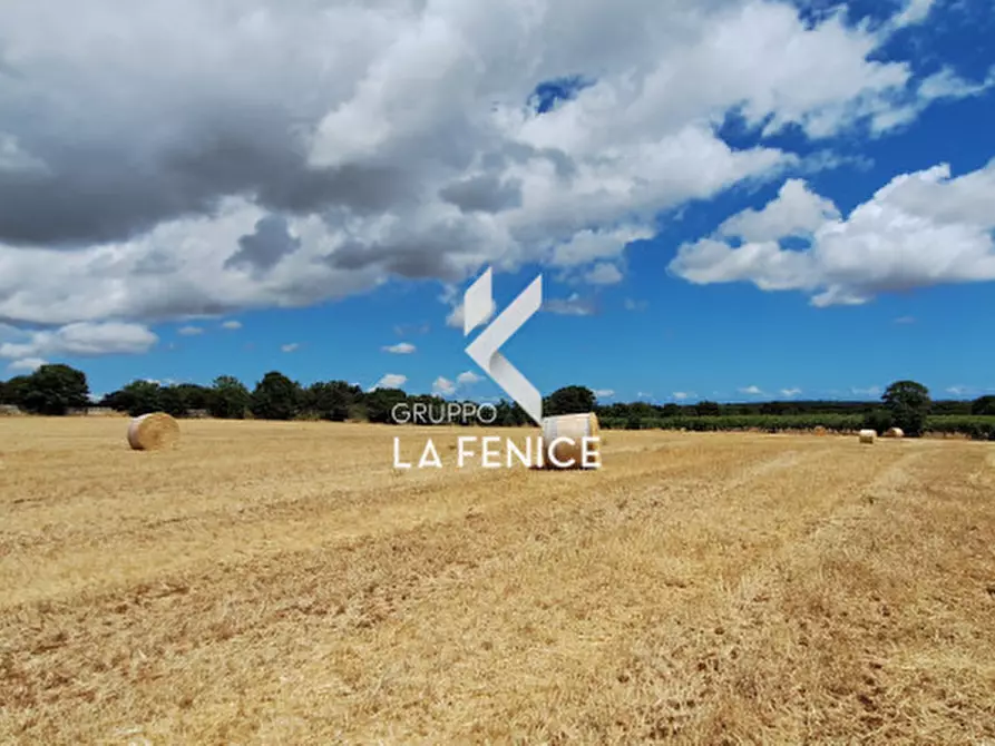 Immagine 8 di Rustico / casale in vendita  in contrada Malvischi a Alberobello