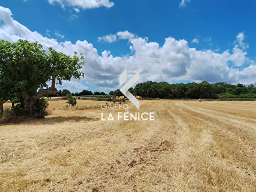 Immagine 9 di Rustico / casale in vendita  in contrada Malvischi a Alberobello