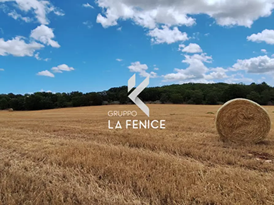 Immagine 14 di Rustico / casale in vendita  in contrada Malvischi a Alberobello