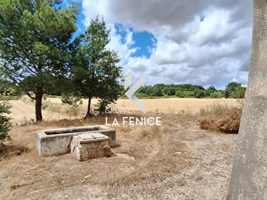 Immagine 21 di Rustico / casale in vendita  in contrada Malvischi a Alberobello