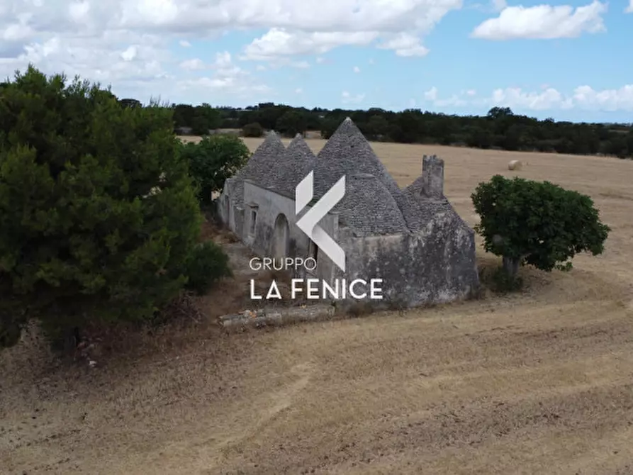 Immagine 22 di Rustico / casale in vendita  in contrada Malvischi a Alberobello