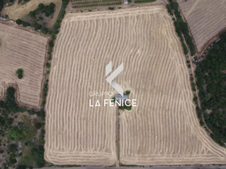 Immagine 25 di Rustico / casale in vendita  in contrada Malvischi a Alberobello