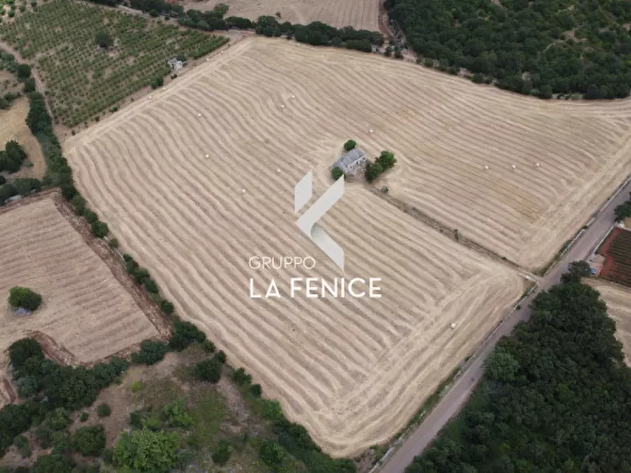 Immagine 26 di Rustico / casale in vendita  in contrada Malvischi a Alberobello