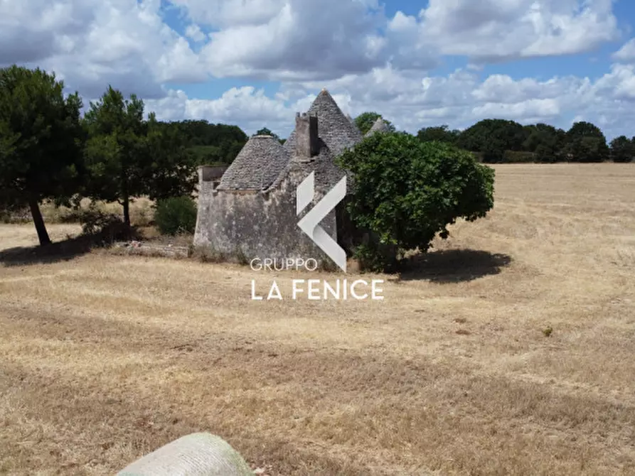 Immagine 32 di Rustico / casale in vendita  in contrada Malvischi a Alberobello