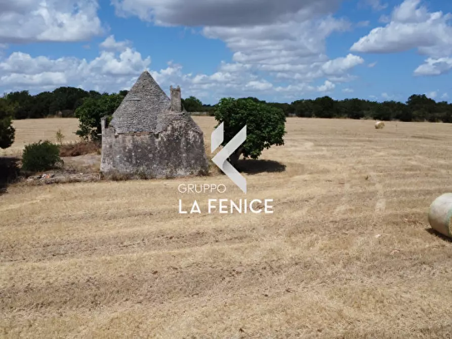 Immagine 33 di Rustico / casale in vendita  in contrada Malvischi a Alberobello