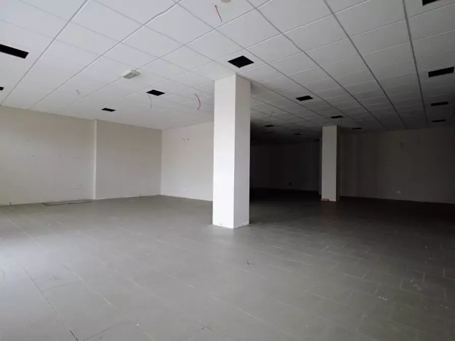 Immagine 6 di Negozio in vendita  in Via Cattani Sud a Carpi