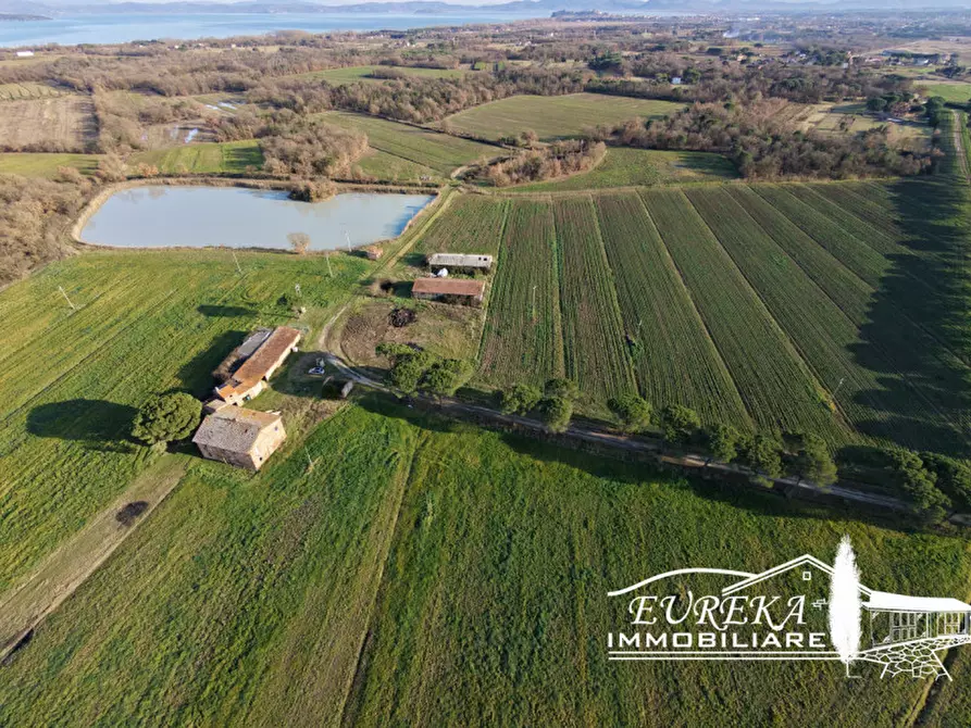 Immagine 1 di Terreno in vendita  a Castiglione Del Lago