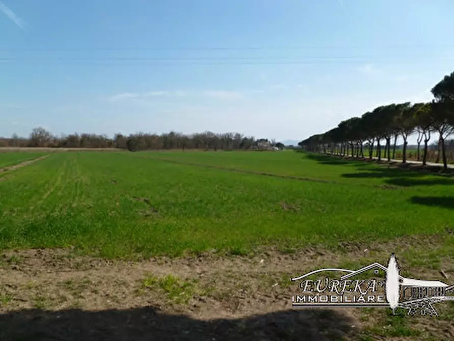 Immagine 3 di Terreno in vendita  a Castiglione Del Lago