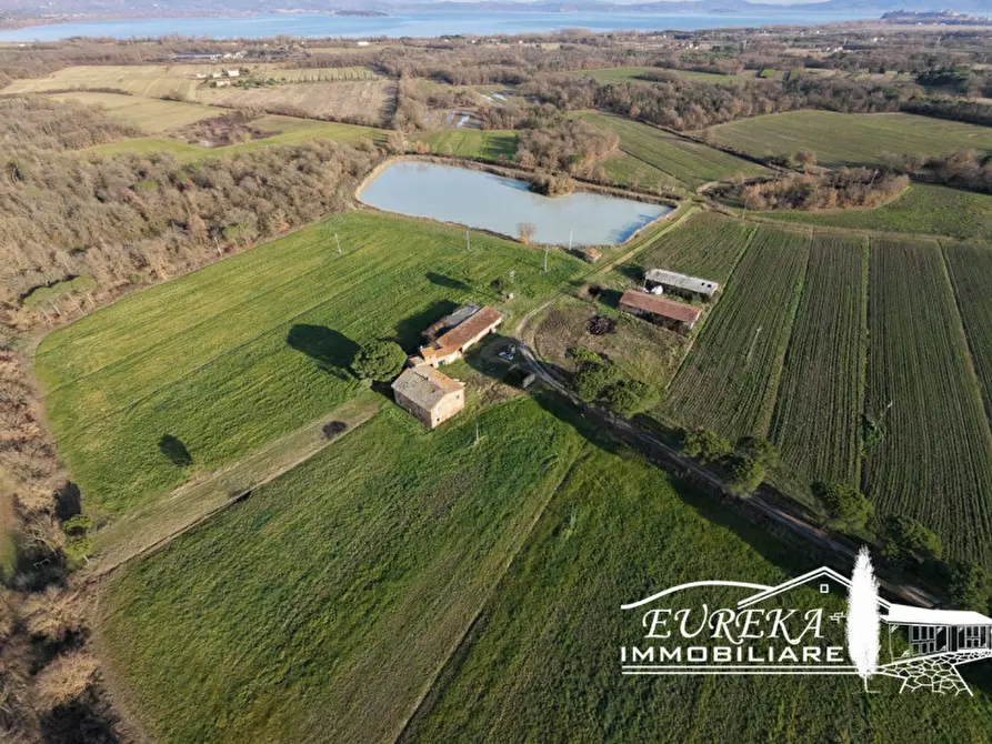 Immagine 3 di Terreno in vendita  a Castiglione Del Lago