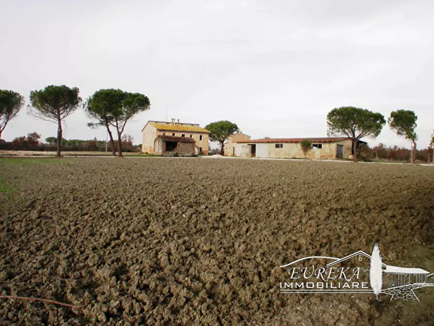 Immagine 4 di Terreno in vendita  a Castiglione Del Lago