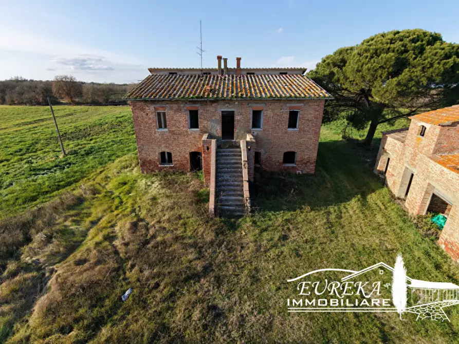 Immagine 5 di Terreno in vendita  a Castiglione Del Lago