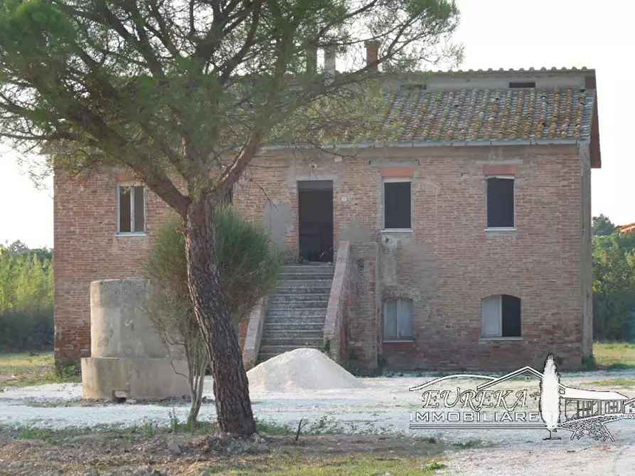 Immagine 6 di Terreno in vendita  a Castiglione Del Lago