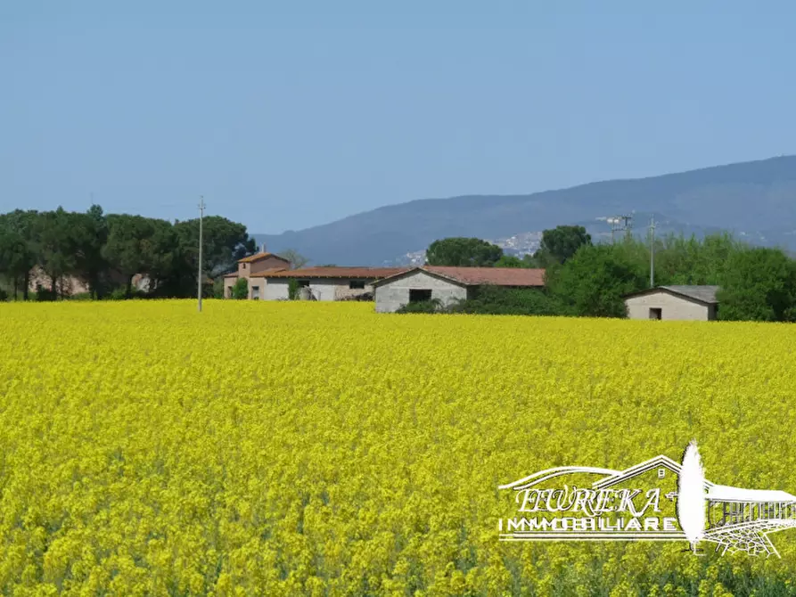 Immagine 6 di Terreno in vendita  a Castiglione Del Lago