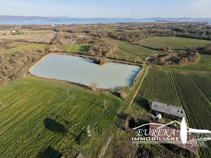 Immagine 7 di Terreno in vendita  a Castiglione Del Lago