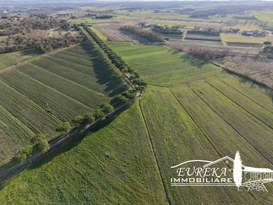 Immagine 8 di Terreno in vendita  a Castiglione Del Lago