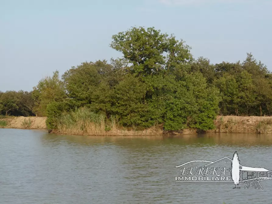 Immagine 7 di Terreno in vendita  a Castiglione Del Lago