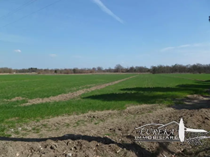 Immagine 8 di Terreno in vendita  a Castiglione Del Lago