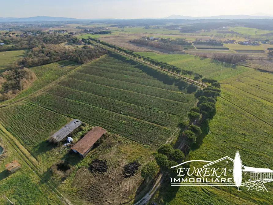 Immagine 9 di Terreno in vendita  a Castiglione Del Lago