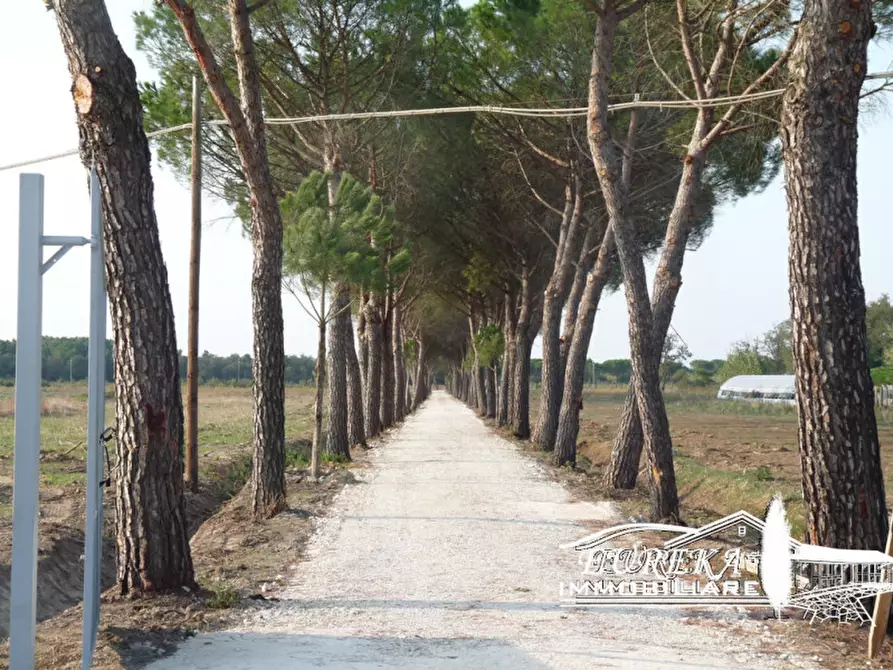 Immagine 10 di Terreno in vendita  a Castiglione Del Lago