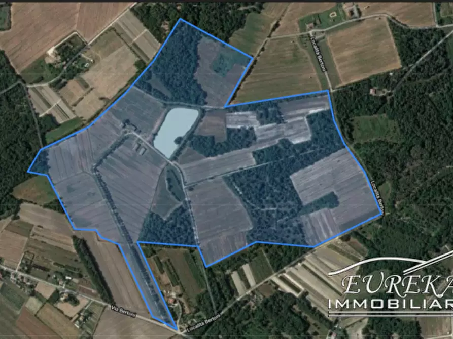 Immagine 9 di Terreno in vendita  a Castiglione Del Lago