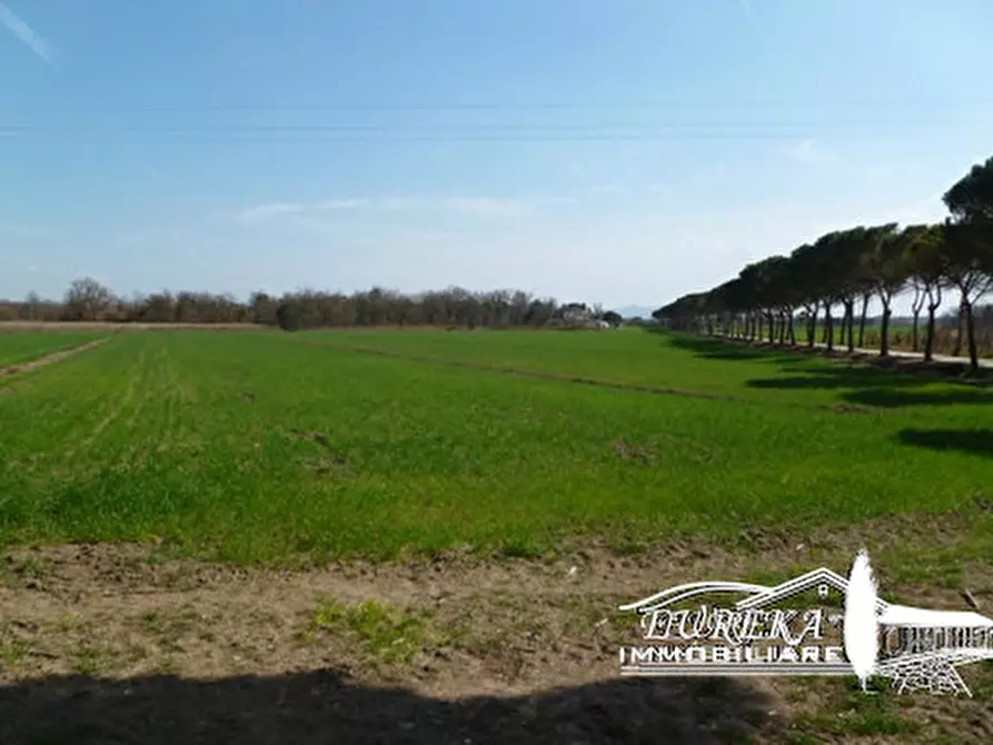Immagine 11 di Terreno in vendita  a Castiglione Del Lago