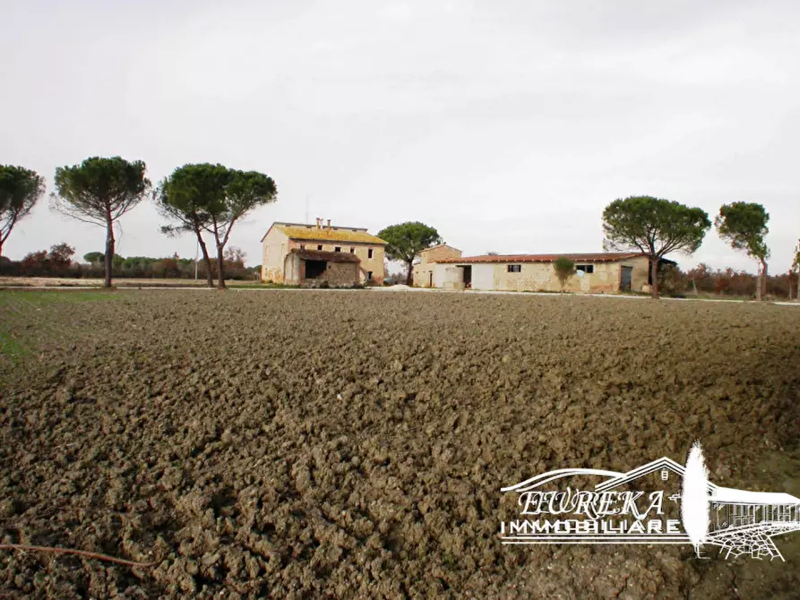 Immagine 12 di Terreno in vendita  a Castiglione Del Lago