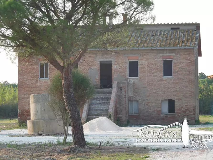 Immagine 14 di Terreno in vendita  a Castiglione Del Lago